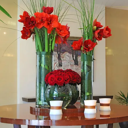 Apollo - , Indoor & Outdoor Pools & Individual Ac In Every Hotel Zlate písky