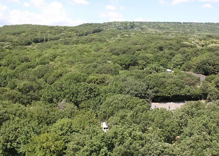 Hotel Apollo - , Indoor&outdoor Pools&individual Ac In Every 4*